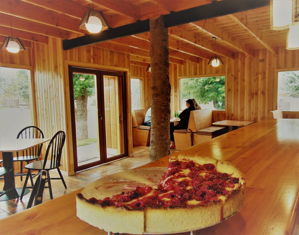 Cafe & Hostal Acurruka Curacautin Ngoại thất bức ảnh