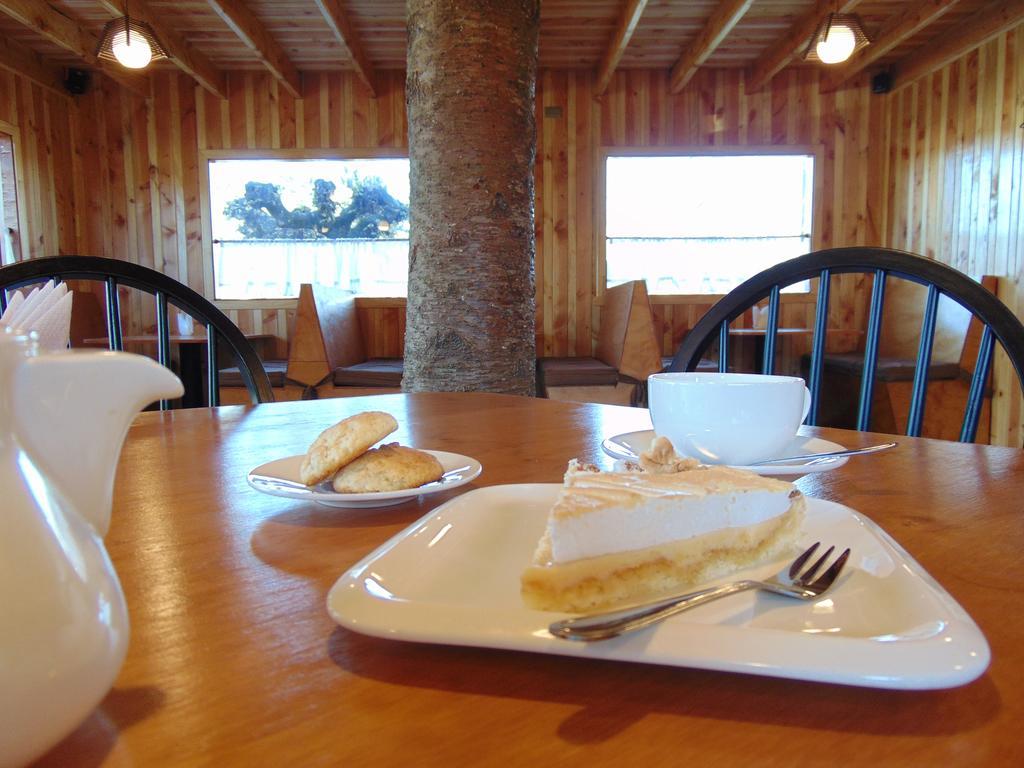 Cafe & Hostal Acurruka Curacautin Ngoại thất bức ảnh